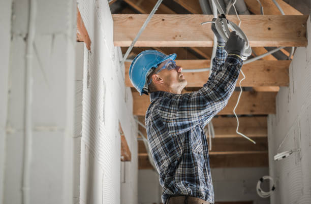 Best Electrical Rewiring Services  in Argentine, MI